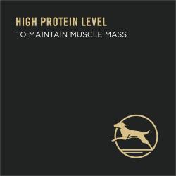 alto nivel de proteínas para mantener la masa muscular