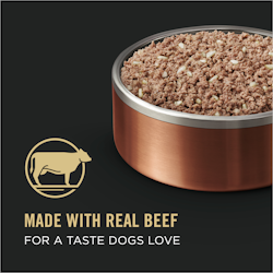 Made with Real Beef for a taste dogs love