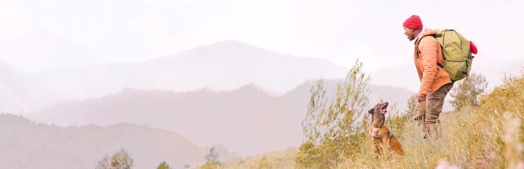 A field with trees and mountains in the background