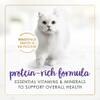 rico-en-proteínas