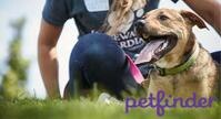 una persona y un perro en el césped, logo de Petfinder