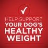 Help support your dog's healthy weight