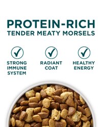 bocados de carne blanda altos en proteínas