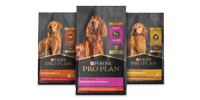 A group of bags of Pro Plan dog food