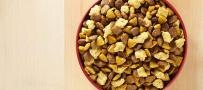 Plato de alimento para perros