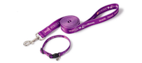 correa y collar morados de purple leash