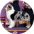 Ribbon, an Australian Shepherd, Herding Group Winner