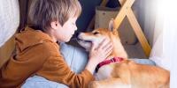 Un joven acaricia la cara de su perro