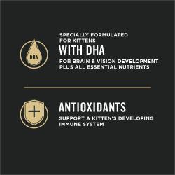 Formulado específicamente para gatitos con ADH y antioxidantes