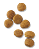 croquetas-de-pollo-y-arroz-para-cachorros-pro-plan-focus