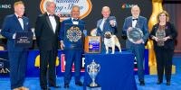    National Dog Show judges standing behind the winning Pug Vito, of 2024 best in show        