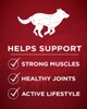 purina one dog food benefits