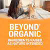 Alimento húmedo para gatos Beyond, receta de paté natural y orgánico de pollo y zanahoria