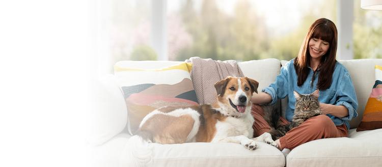 A woman with a cat and a dog sitting on a sofa