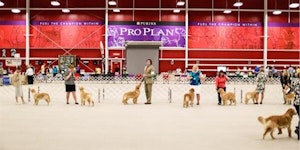Purina Farms Event Center dog show event with show dogs and their handlers in a line