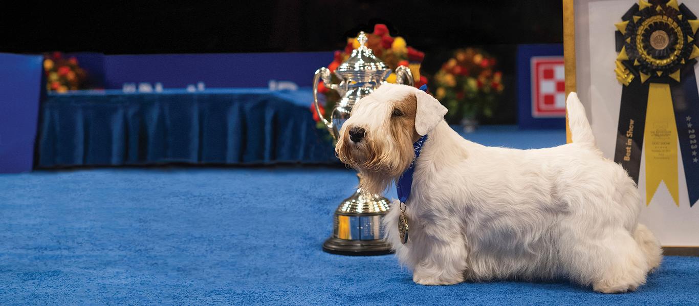 The National Dog Show Purina US