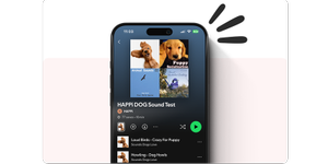 A phone displays one of the Happi program's dog enrichment activities.