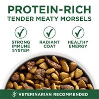 po dog dry smbrdadlt prodop adv