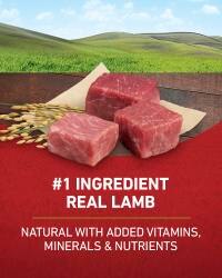 Number 1 ingredient real lamb natural with added vitamins, minerals, and nutrients