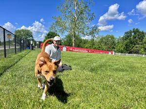 Pups Play Yard