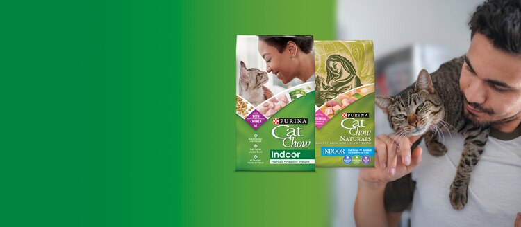 Purina Cat Chow Indoor Cat Food