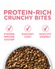 Protein rich crunchy bites