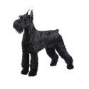 Giant Schnauzer