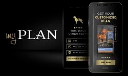 My plan