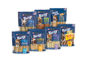 Complete lineup of Busy Bone Dog Chew Treats packages.