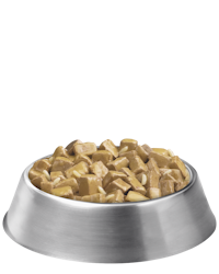 pro-plan-focus-adult-large-breed-chicken-rice-chunk-bowl