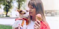 person holding dog, and eating an ice cream cone