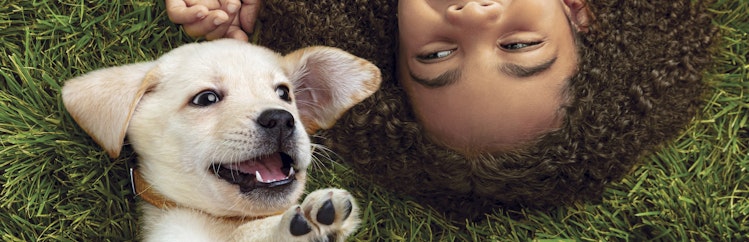 child and puppy laying heads together in the grass