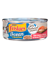 Friskies Ocean Favorites Salmon, Shrimp & Brown Rice in Sauce Wet Cat Food