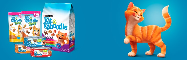 Kit & Kaboodle cat food on blue background with orange cartoon cat