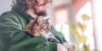 person in green shirt holding a cat