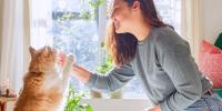 Un gato está tomando una píldora