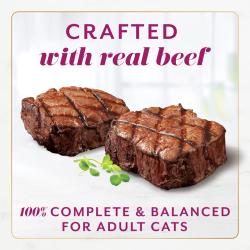 fancy feast gems beef ingredients