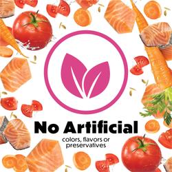 no artificial colors, flavors, preservative