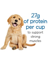 beneful-healthy-puppy-dry-dog-food-protein