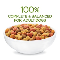 100 percent complete and balanced for adult dogs