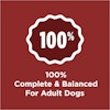 100% completo y equilibrado para perros adultos