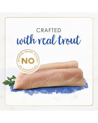 gourmet-naturals-real-trout-in-gravy
