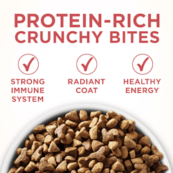 Protein-Rich crunchy bites