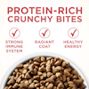 Protein-Rich crunchy bites