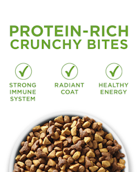 Protein rich crunchy bites