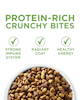 Protein rich crunchy bites