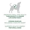 po dog dry smbrdadlt fb2