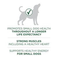 po dog dry smbrdadlt fb2