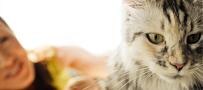 Una mujer y su gato