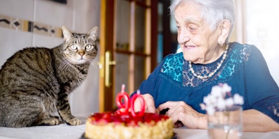 elderly woman at table with a cat and a birthday cake